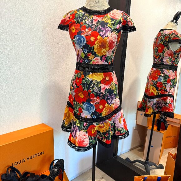 Alice & Olivia Rapunzel Flare Dress - Picture 1 of 7